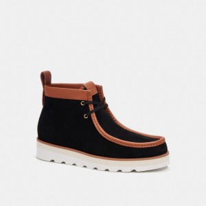 Black Men Coach Chukka Boots | AU_CH66675