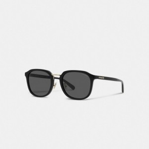 Black Men Coach Rounded Geometric Sunglasses | AU_CH12215