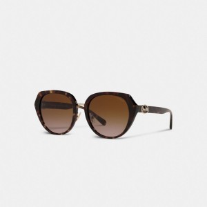 Black Women Coach Horse And Carriage Oversized Round Sunglasses | AU_CH46459