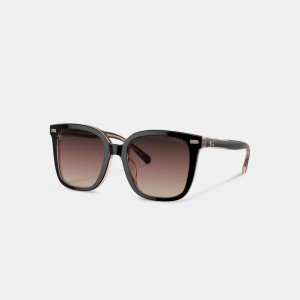 Black / Pink Women Coach Beveled Signature Oversized Square Sunglasses | AU_CH21611