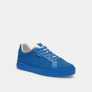 Blue Men Coach Lowline Low Top In Signature Canvasberry Sneakers | AU_CH92016
