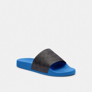 Blue Men Coach Slideberry Sandals | AU_CH55557