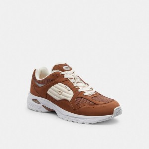 Brown Men Coach C301 Sneakers | AU_CH35011