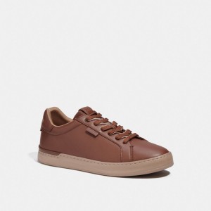 Brown Men Coach Lowline Low Top Sneakers | AU_CH24746