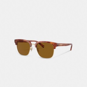Brown Men Coach Retro Sunglasses | AU_CH22904