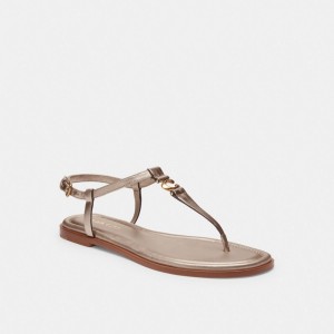Brown Women Coach Jessica Champagne Sandals | AU_CH42145