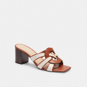 Brown Women Coach Nikki Chalk Burnished Amber Sandals | AU_CH60763