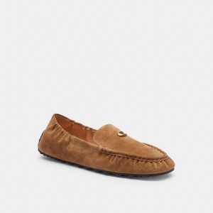 Brown Women Coach Ronnie Coconut Loafers | AU_CH83861