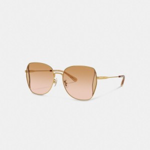Coral Pink Women Coach Oversized Butterfly Peach Blush Sunglasses | AU_CH60558