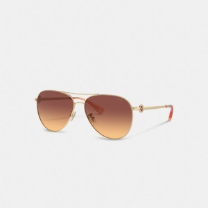Dark Brown Women Coach Metal Aviator Sunglasses | AU_CH41321