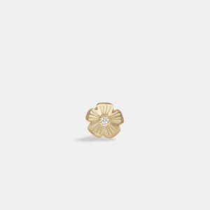 Gold Women Coach 14 K Tea Single Stud Earrings | AU_CH26510
