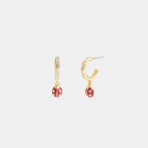Gold Women Coach Garden Ladybug Drop Earrings | AU_CH94825