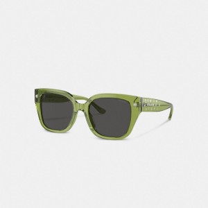 Green Women Coach Charms Oversized Square Sunglasses | AU_CH53123