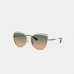 Green Yellow Women Coach Bandit Wire Oval Gradient Sunglasses | AU_CH87254