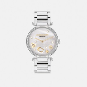 Grey Women Coach Cary 34 Mm Stainless Steel Watches | AU_CH65015