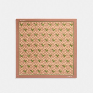 Khaki Women Coach Rexy Print Silk Bandana Hats | AU_CH98033