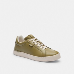 Olive Men Coach Lowline Low Top Moss Sneakers | AU_CH16114