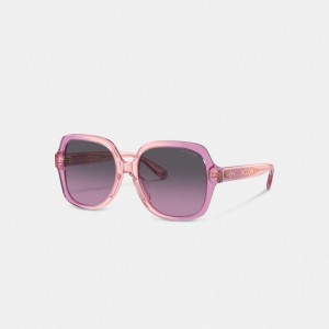 Pink Purple Women Coach Signature Ombré Oversized Square Sunglasses | AU_CH61208