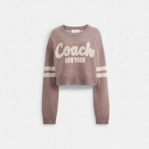 Pink Women Coach Cropped Sweaters | AU_CH15998