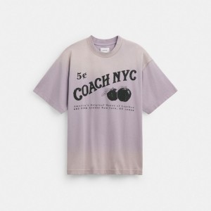 Purple Men Coach Signature Apple T Shirts | AU_CH64856