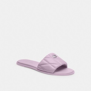 Purple Women Coach Holly With Quilting Soft Sandals | AU_CH98949