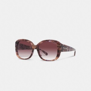 Purple Women Coach Signature Oversized Square Sunglasses | AU_CH98041