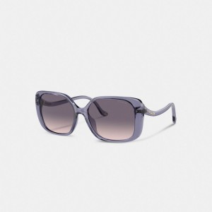 Purple Women Coach Swoop Temple Rectangle Transparent Sunglasses | AU_CH20975