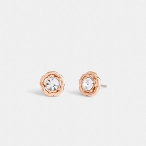 Rose Gold Women Coach Halo Tea Stud Earrings | AU_CH56765