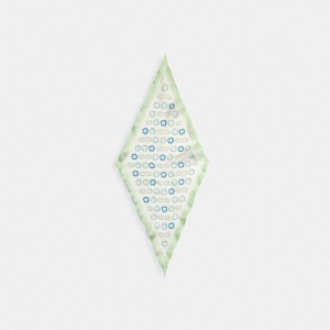 Rose Women Coach Tea Print Silk Diamond Pale Pistachio Scarf | AU_CH64032